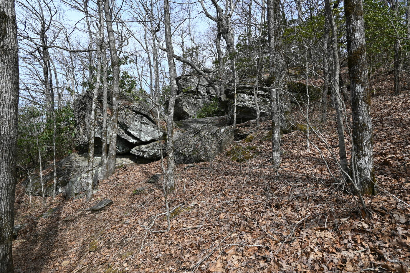SOTA/POTA Activation of Wildcat Mtn. and Chattahoochee-Oconee NF